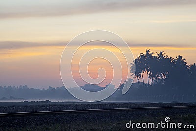 Wonderful sunrise above tropical palm jungle Stock Photo