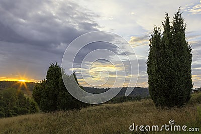 Wonderful sunrise in the LÃ¼neburg Heath Nature Park Nature reserve. Stock Photo