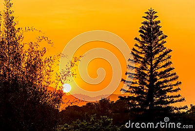 Wonderful sunset in Praia dos Ingleses, FlorianÃ³polis, Santa Catarina, Brazil. Stock Photo