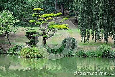 Oriental park with wunderful trees Stock Photo