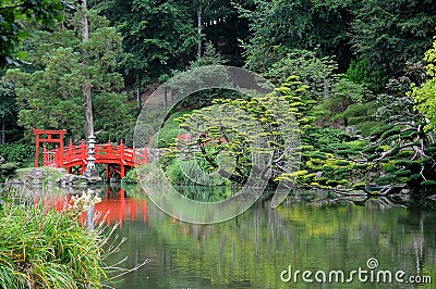 Oriental park with wunderful trees Stock Photo