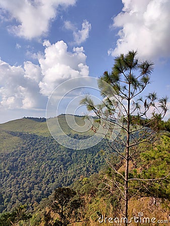 Wonderful view of big fluffy cloud over top of mo Stock Photo