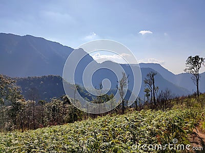 Wonderful view of big fluffy cloud over top of mo Stock Photo