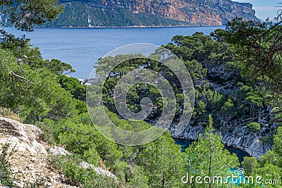 Wonderful viewpoint from the forest, Calanques National Park near Cassis fishing village, Provence Stock Photo
