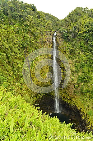 Wonderful Waterfalls Surrounded By Impressive Vegetation Stock Photo