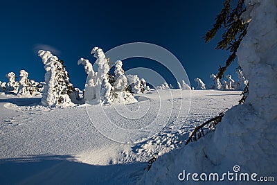 Wonderful Winter Landscape. Stock Photo