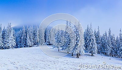 Wonderful winter landscape Stock Photo