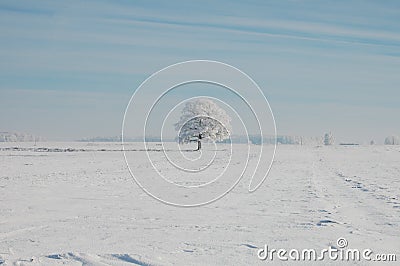 Wonderful winter landscapes, forests, fields, town ,details ... Stock Photo