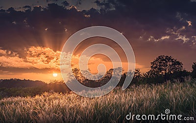 Wonderfull sunset in a steppe Stock Photo