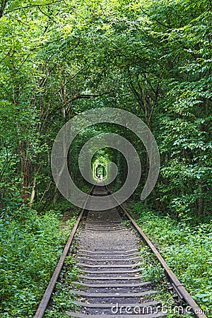 Wonders of nature - Romantic Tunnel of Love Tunel Kokhannya. Ukraine. Tourist landmark Stock Photo