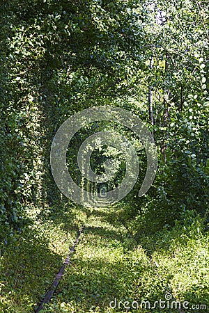 Wonders of nature - Tunnel of Love Tunel Kokhannya. Ukraine. Tourist landmark Stock Photo