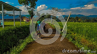 WONOSOBO, INDONESIA _ DECEMBER 10 , 2022 _ Farmers' activities in the morning go to work in the fields Editorial Stock Photo