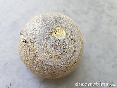 This is a wood apple fruits, it's natural as well as very good tast and nutrition Stock Photo