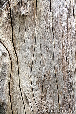 Wood background Stock Photo