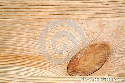 Wood background and bough Stock Photo