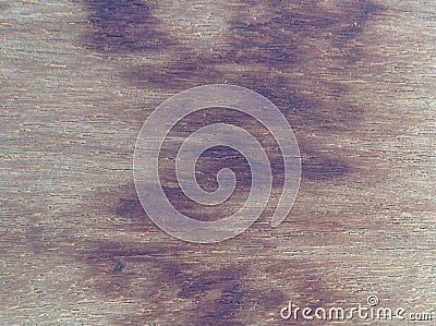 Wood background Stock Photo