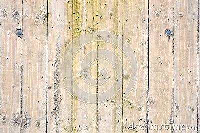 Wood background Stock Photo