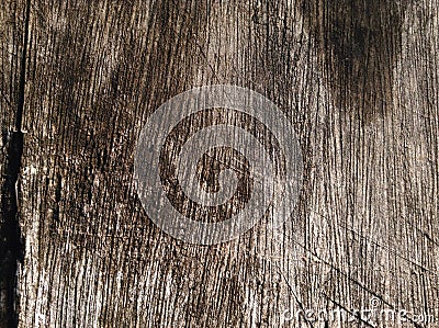 Wood background Stock Photo