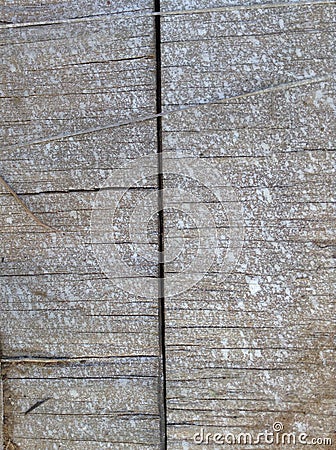 Wood background Stock Photo