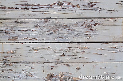 Wood backgrounds Stock Photo