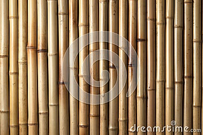 Wood Bamboo Background Stock Photo