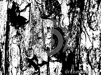 Wood bark texture. Aged texture of timber board. Distressed overlay for vintage effect. Stock Photo