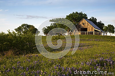 Wood Barn on the Bluebonnet Trail Near Ennis, Texas Stock Photo