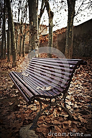 Wood bench with autumn leaves Stock Photo