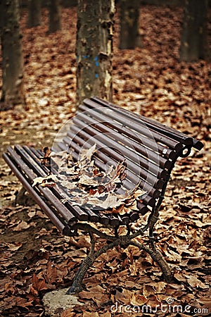 Wood bench with autumn leaves Stock Photo