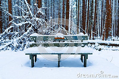 Wooden bench in a forest covered in snowy after a snow storm, with evergreen trees and fluffy snow in the background. Brown tree Stock Photo