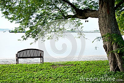 Wood bench under tree Stock Photo