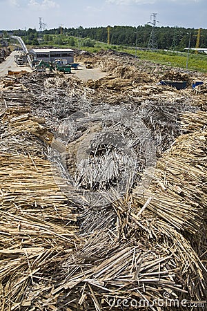 Wood and biomass plant Stock Photo