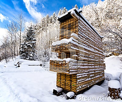 Wood boards at the sawmill, snowy sunny winter day Stock Photo