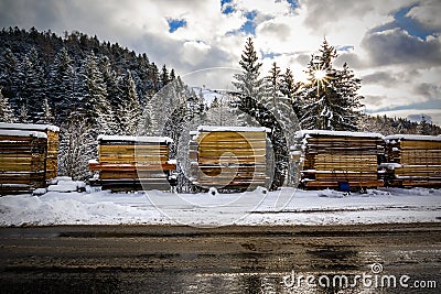 Wood boards, sawmill in winter Stock Photo