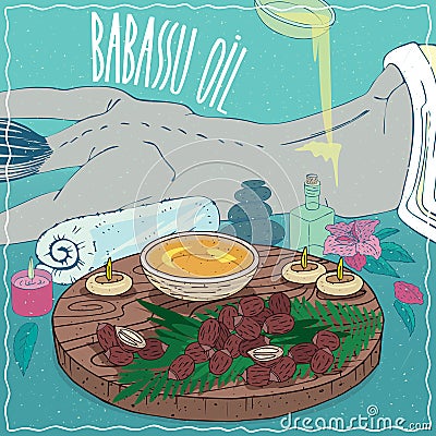 Babassu oil used for body massage Vector Illustration