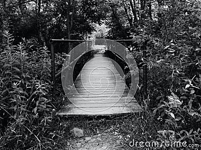 Wood Bridge in Dark and Spooky Woods Stock Photo