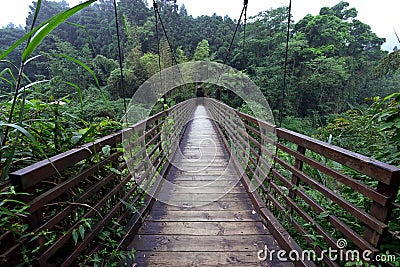 Wood Bridge Stock Photo