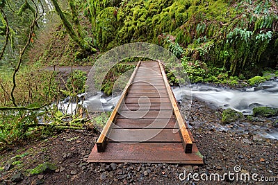 Wood Bridge over Wahkeena Creek Stock Photo