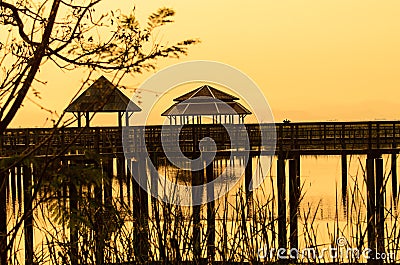 Wood bridge on Wetland Stock Photo