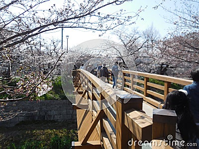 The wood bridge at Yamazaki River, Nagoya, Aichi Prefecture, Japan Editorial Stock Photo