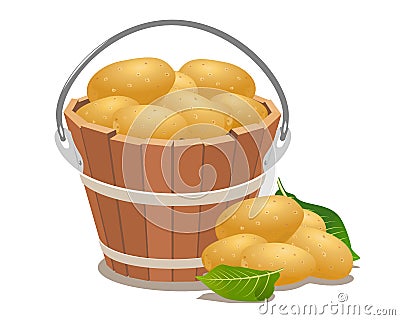 Wood bucket full new potatoes Vector Illustration