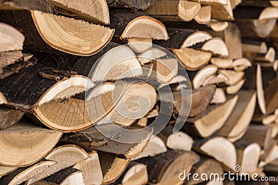 Wood wood building material for background and texture. carpentry waste after processing. wood, raw material for heating Stock Photo