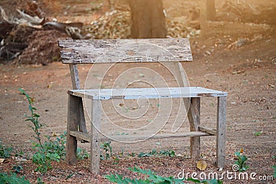 Wood Chair Background Background Outdoor Blank Nature Accent Selection Lonely emotions Stock Photo