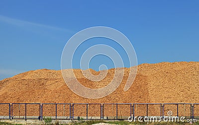 Wood Chip Mountain under Clear Sky Stock Photo