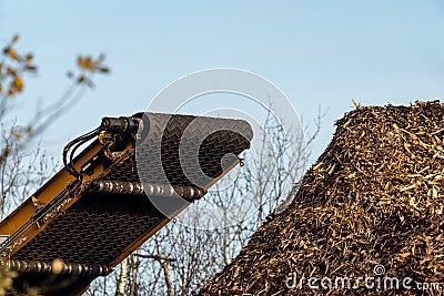 Wood chips dumped in a pile by a large industrial wood chipper.. Editorial Stock Photo