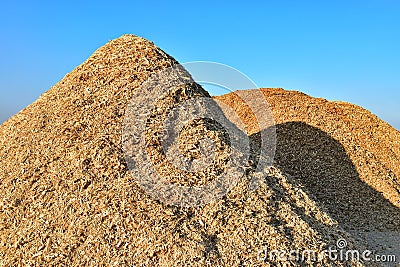 Wood chips on pile Stock Photo