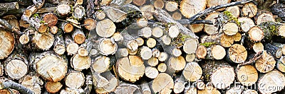 Wood chop stove. Woodpile texture background. Trees store. Hardwood pile stack Stock Photo