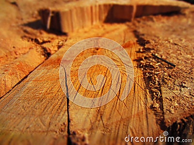 Wood Stock Photo