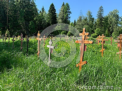 wood crosses on graves in cemetery in summer. cemetery in the green forest. grave unknown monuments on the field Editorial Stock Photo