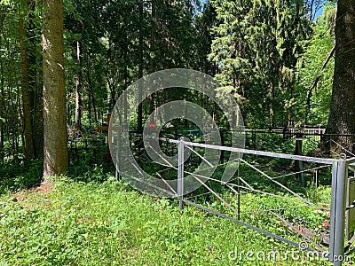 wood crosses on graves in cemetery in summer. cemetery in the green forest. grave unknown monuments on the field Stock Photo